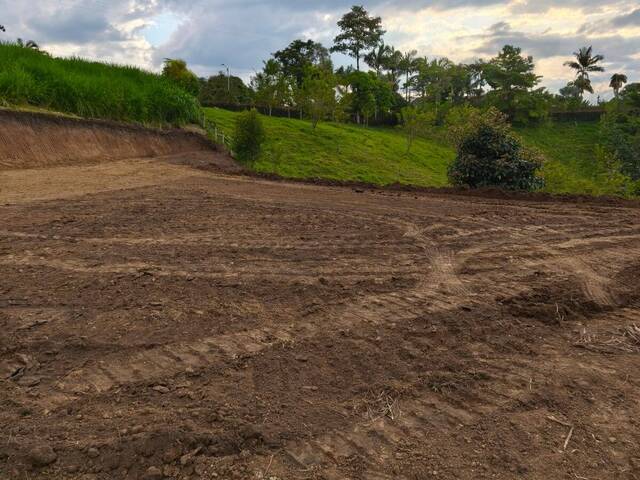#20 - Área para Venta en Pereira - RIS