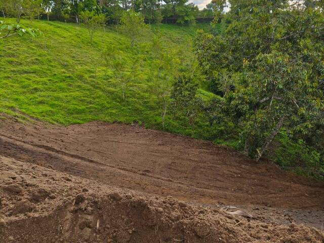 Área para Venta en Pereira - 5
