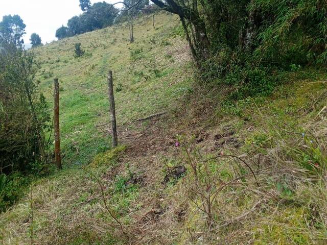 #22 - Área para Venta en La Calera - CUN - 2