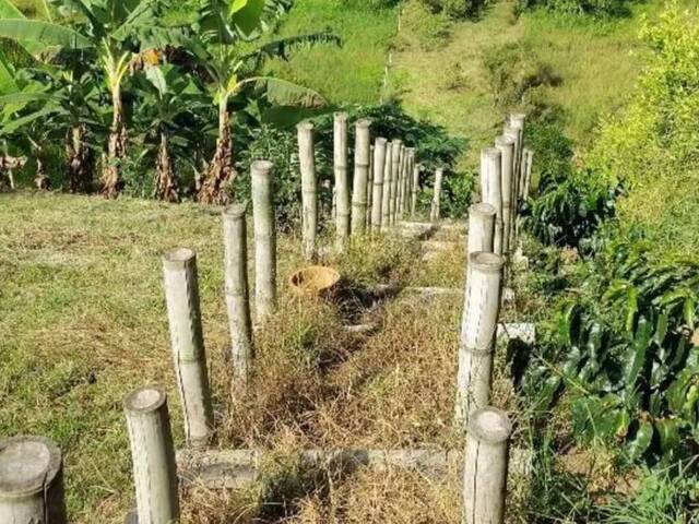 #28 - Área para Venta en Pereira - RIS - 3