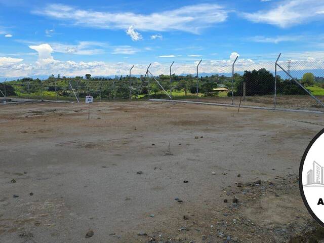 #38 - Área para Venta en Circasia - QUI - 1