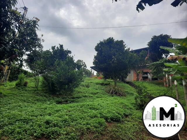 Quinta para Venta en Dos Quebradas - 4